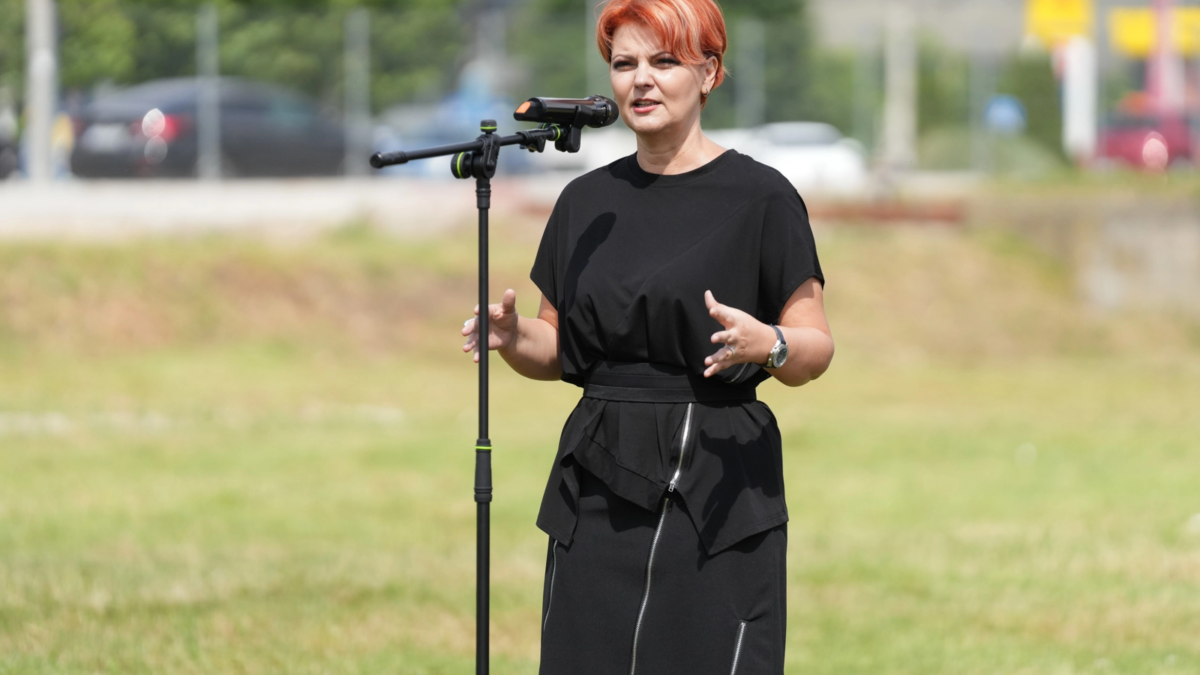 Lia Olguța: Adevărul despre demisia lui Grindeanu